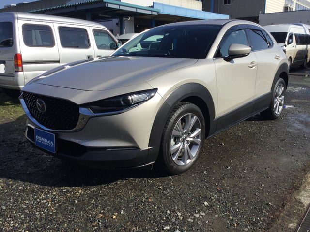 CX-30