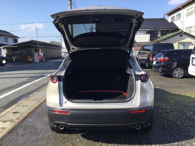 CX-30