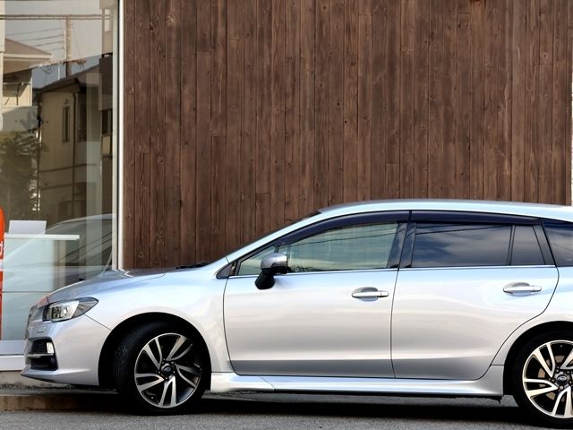 LEVORG