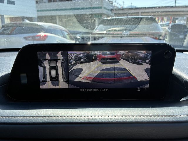 CX-30