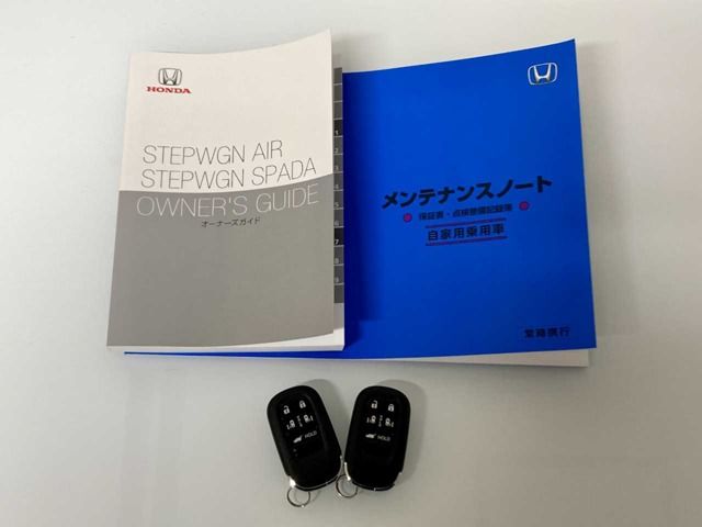 STEPWAGON SPADA 4WD