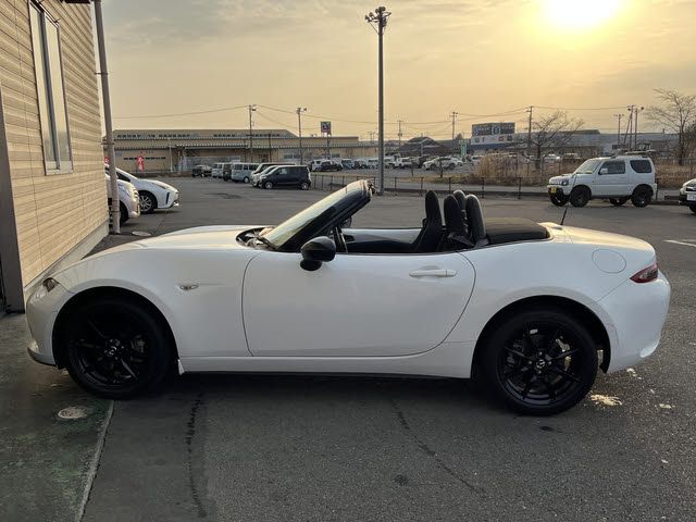 ROADSTER