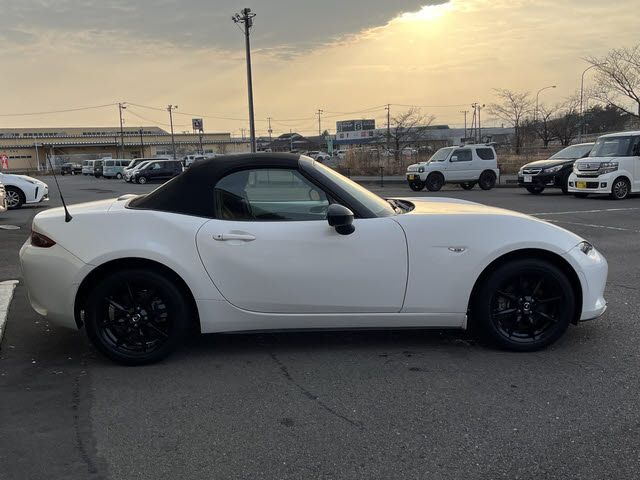 ROADSTER