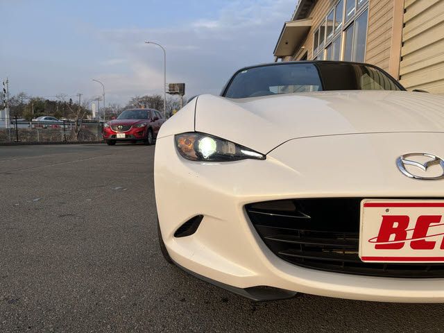 ROADSTER