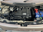 ALTO LAPIN Chocolat