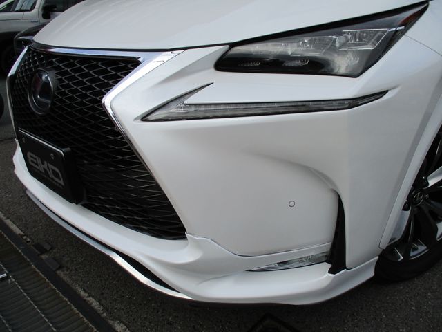 LEXUS NX300h AWD