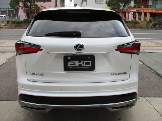 LEXUS NX300h AWD