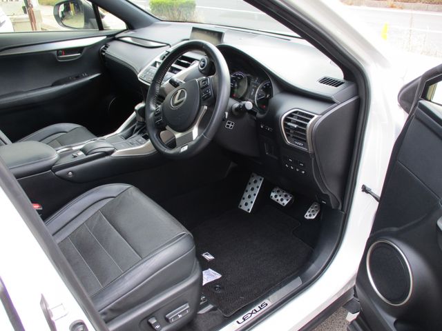 LEXUS NX300h AWD
