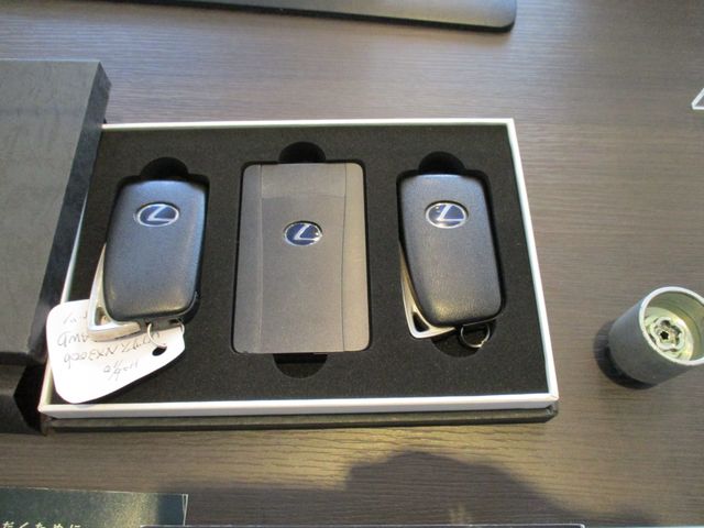 LEXUS NX300h AWD