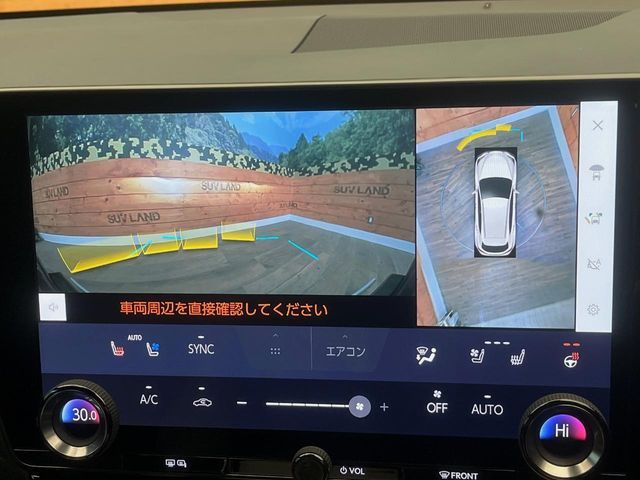 LEXUS NX450h+ AWD