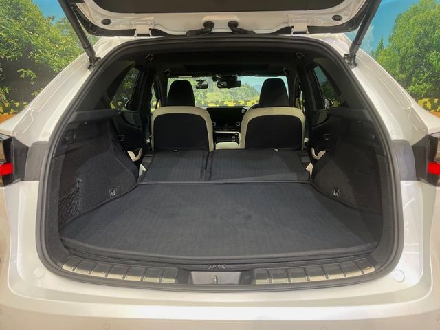 LEXUS NX450h+ AWD