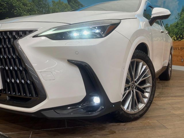 LEXUS NX450h+ AWD