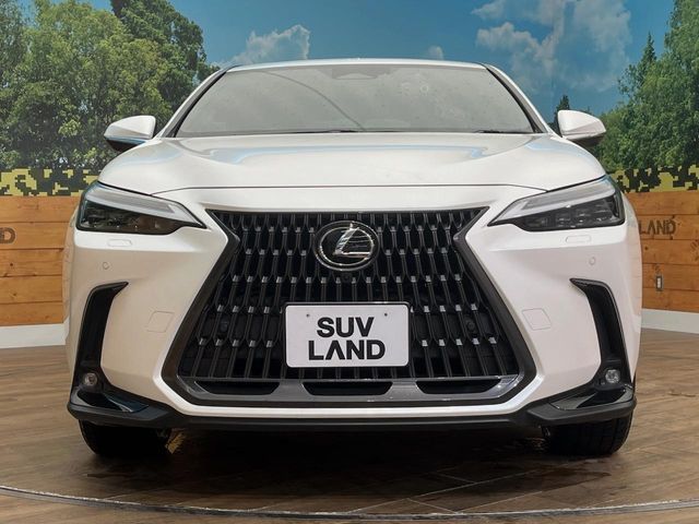 LEXUS NX450h+ AWD