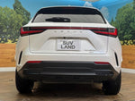 LEXUS NX450h+ AWD