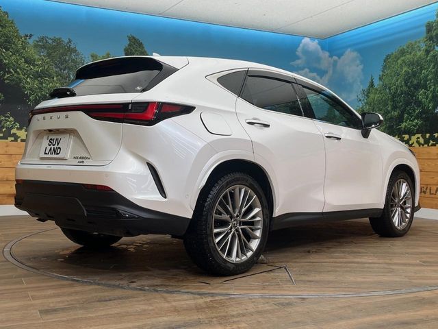 LEXUS NX450h+ AWD