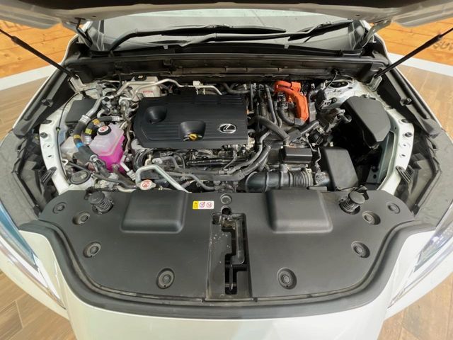 LEXUS NX450h+ AWD