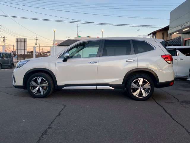 FORESTER
