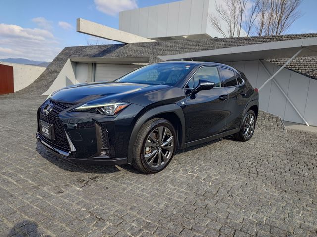 LEXUS UX250h