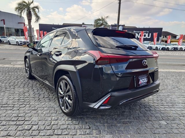 LEXUS UX250h