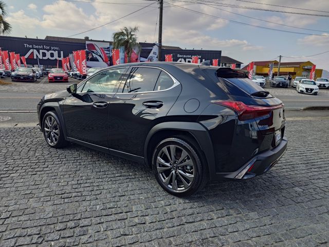 LEXUS UX250h