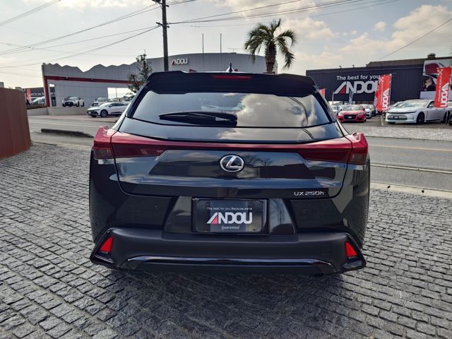 LEXUS UX250h