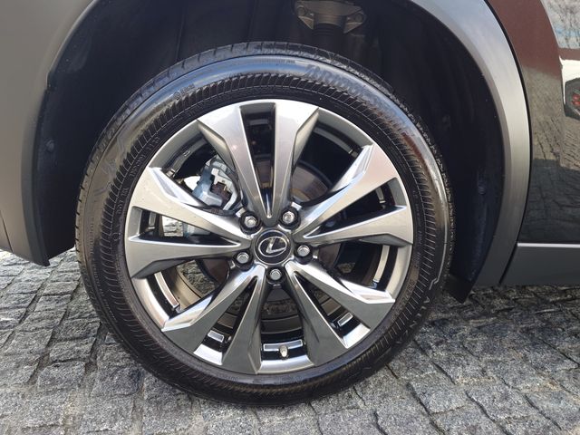LEXUS UX250h