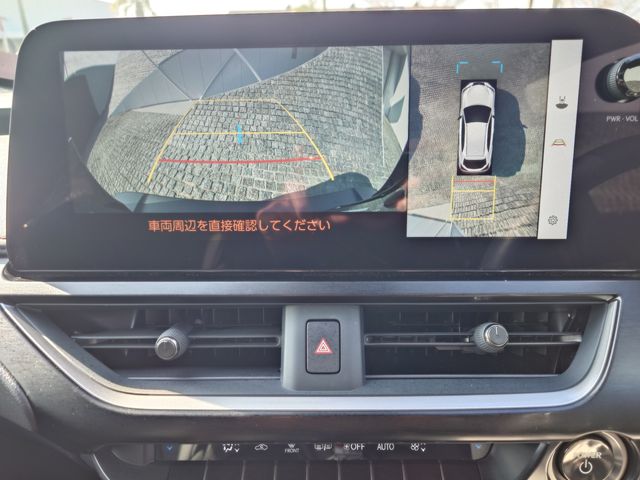 LEXUS UX250h