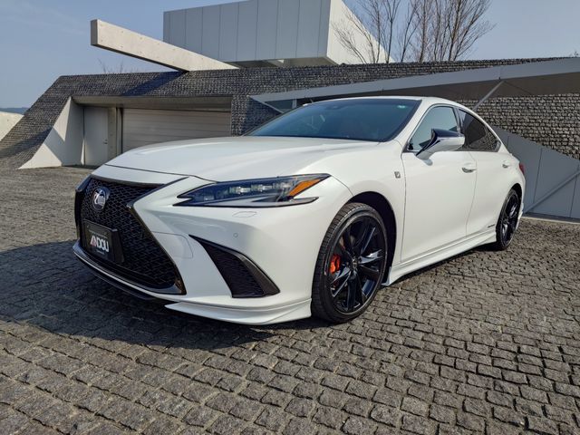 LEXUS ES300h