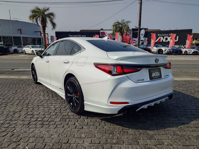 LEXUS ES300h