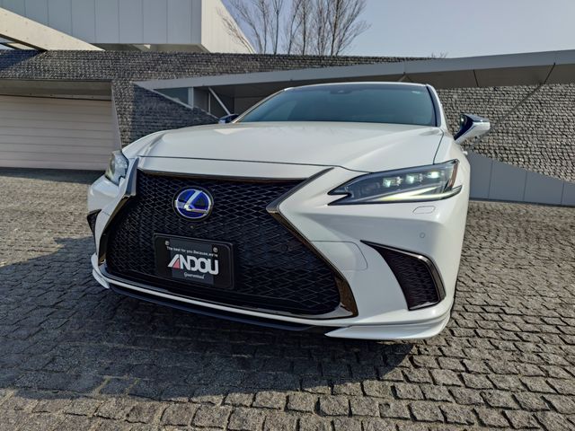 LEXUS ES300h