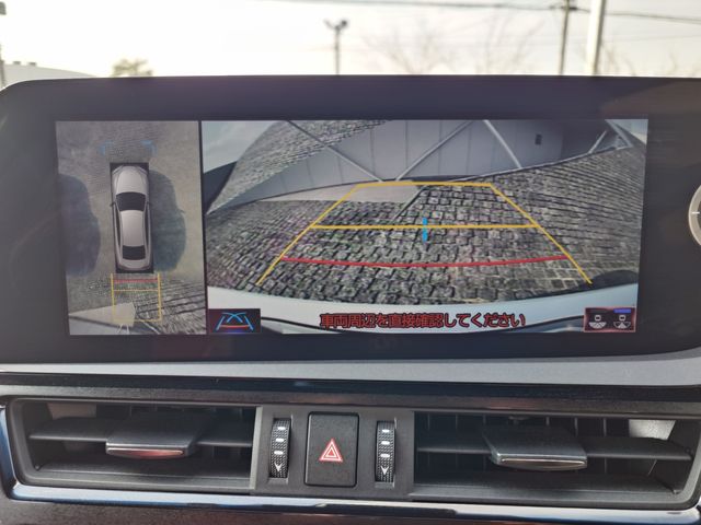 LEXUS ES300h