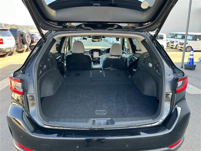 LEVORG LAYBACK