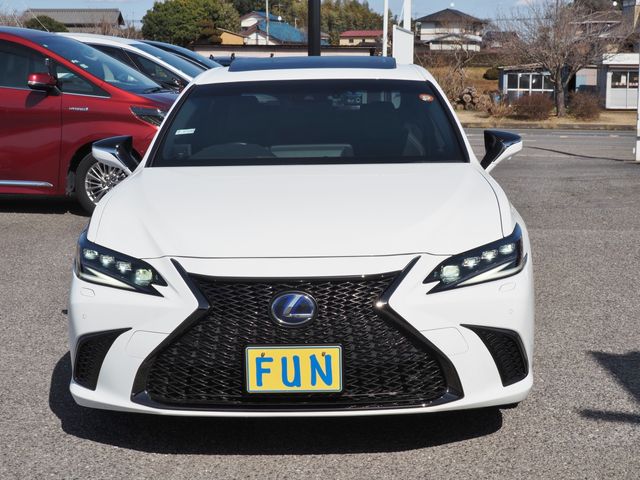 LEXUS ES300h