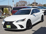 LEXUS ES300h