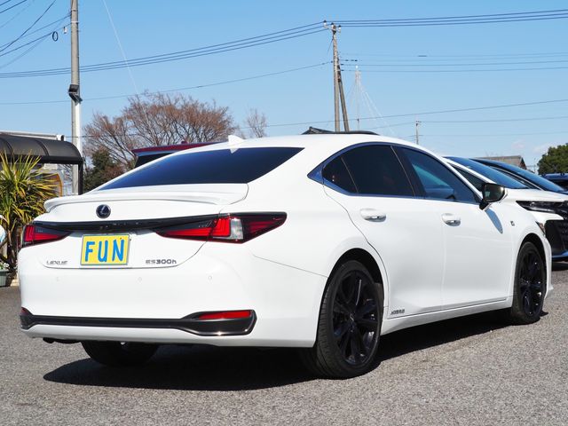 LEXUS ES300h