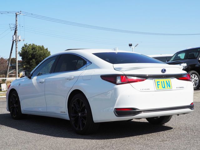 LEXUS ES300h