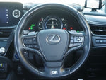 LEXUS ES300h