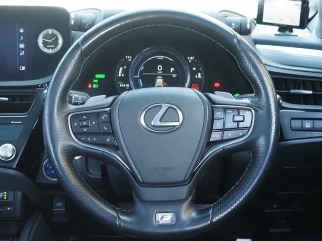 LEXUS ES300h