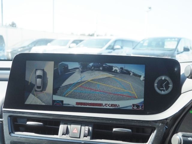 LEXUS ES300h