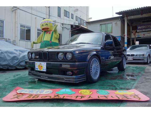 ALPINA B6