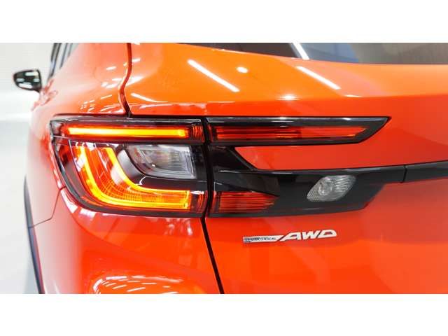 LEVORG LAYBACK