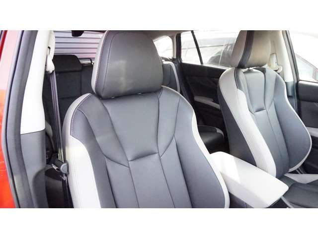 LEVORG LAYBACK