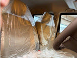 EVERY wagon