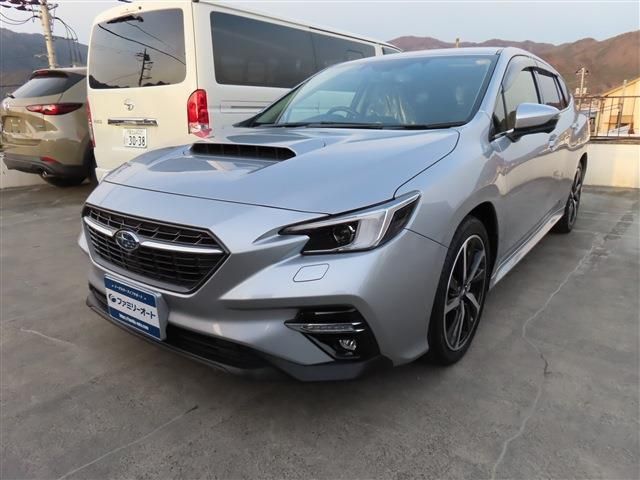 LEVORG