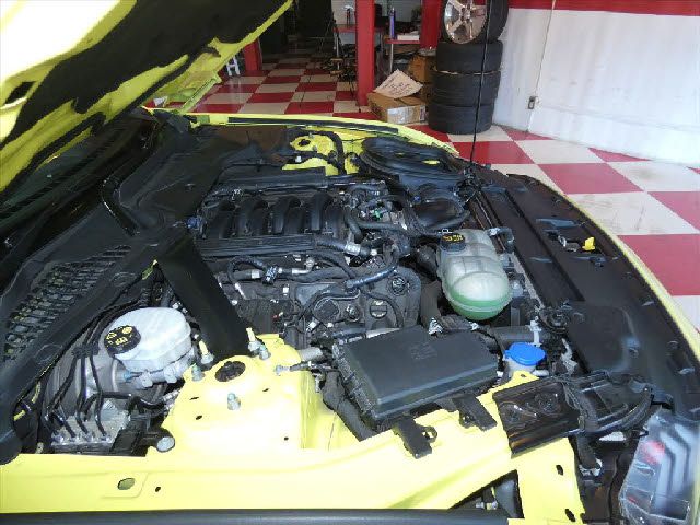 FORD MUSTANG