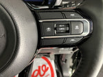 Spacia GEAR 4WD