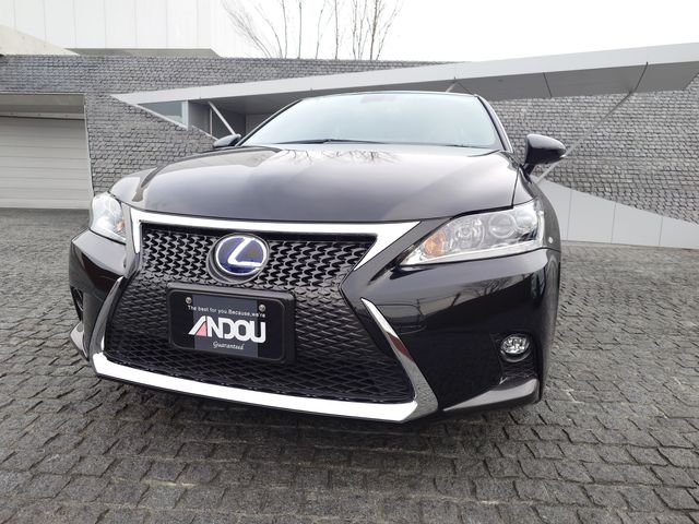 LEXUS CT200h