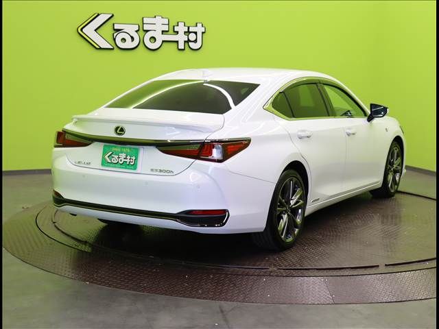 LEXUS ES300h