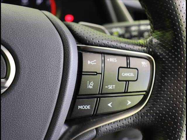 LEXUS ES300h