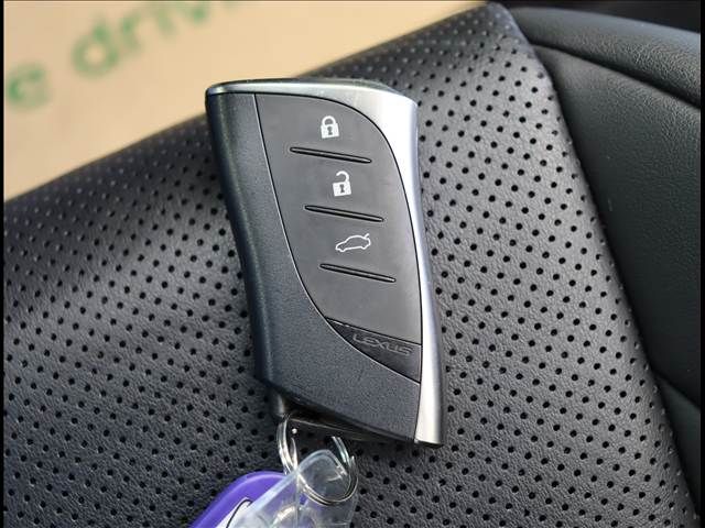 LEXUS ES300h